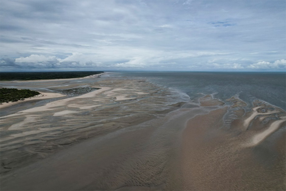 Ilha de Marajó. Cristiano Burmester