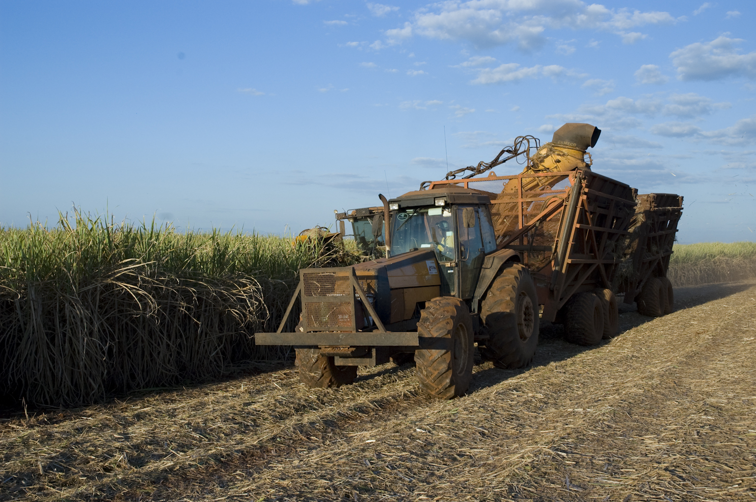 Louis Dreyfus Commodities