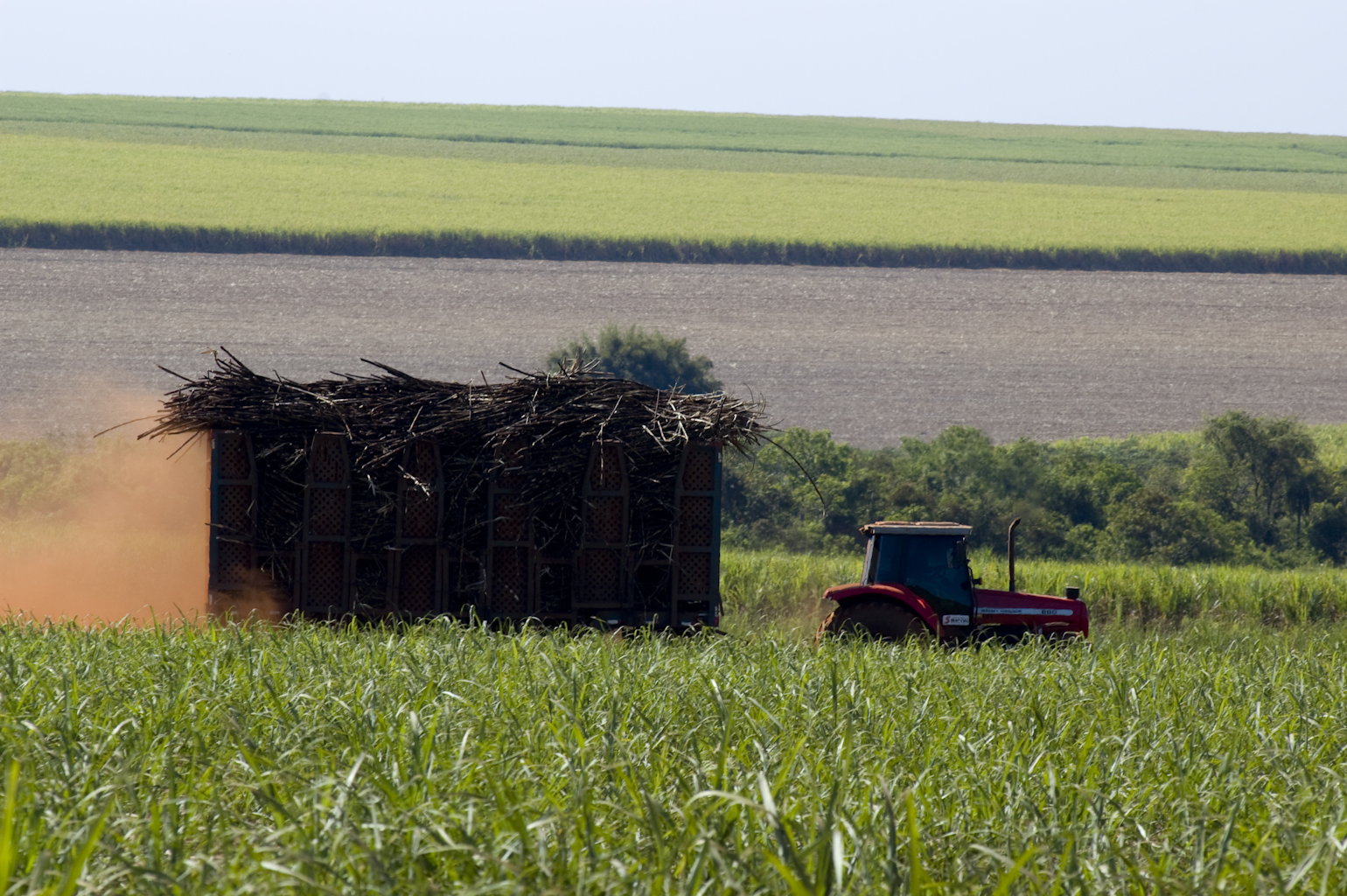 Louis Dreyfus Commodities