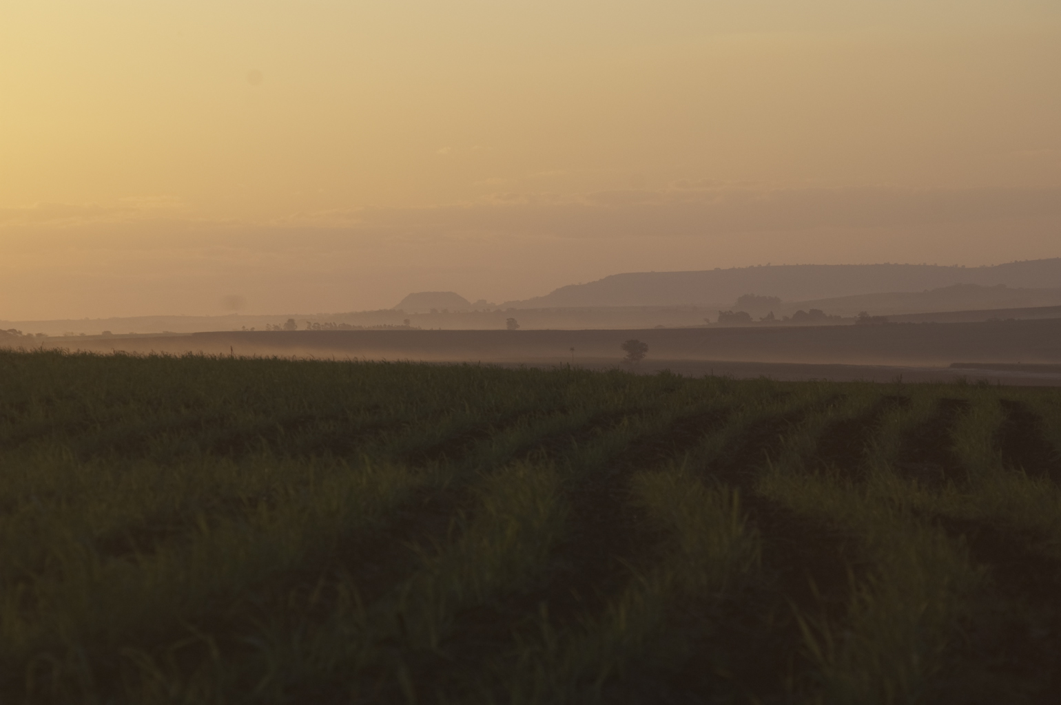 Louis Dreyfus Commodities