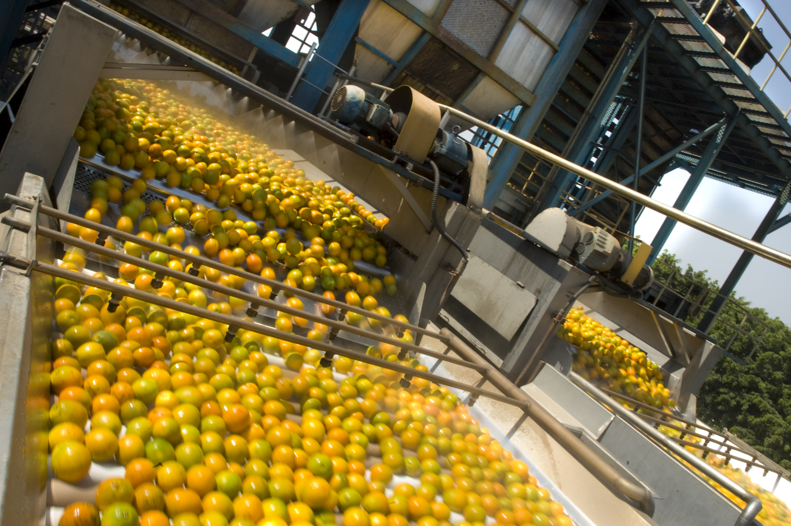 Louis Dreyfus Commodities