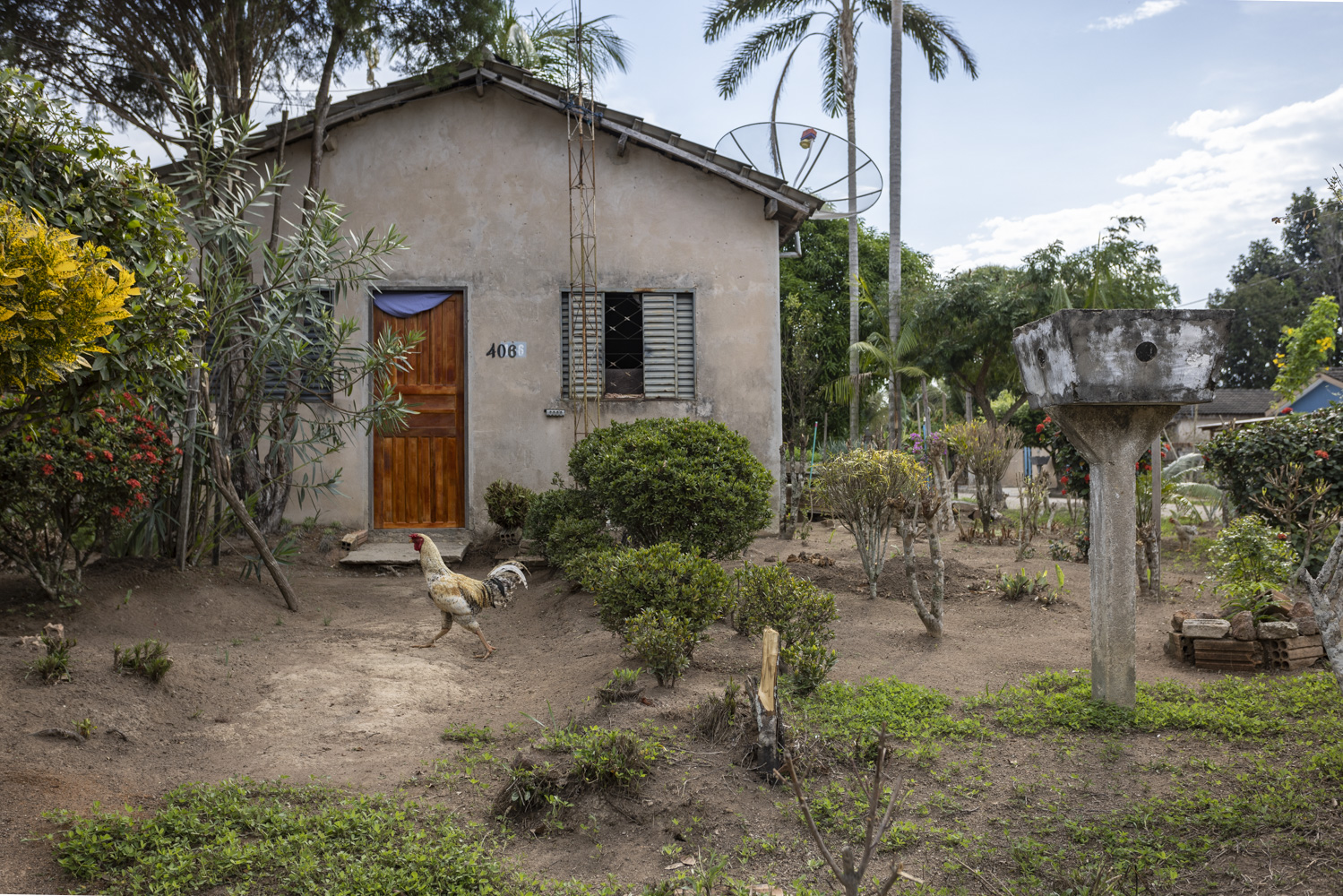 Paranaíta: uma outra Amazônia