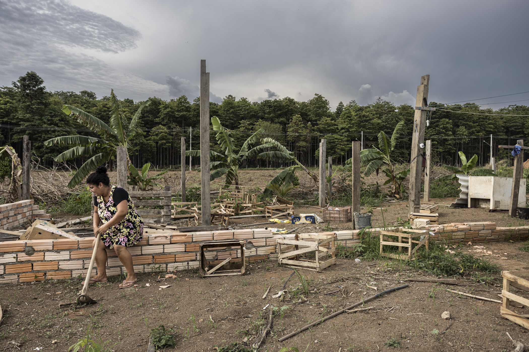 Paranaíta: uma outra Amazônia