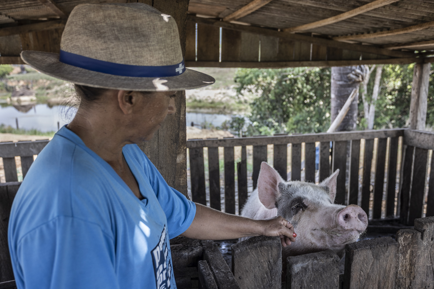 Paranaíta: uma outra Amazônia