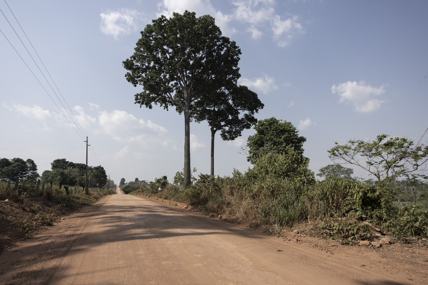 Paranaíta: uma outra Amazônia