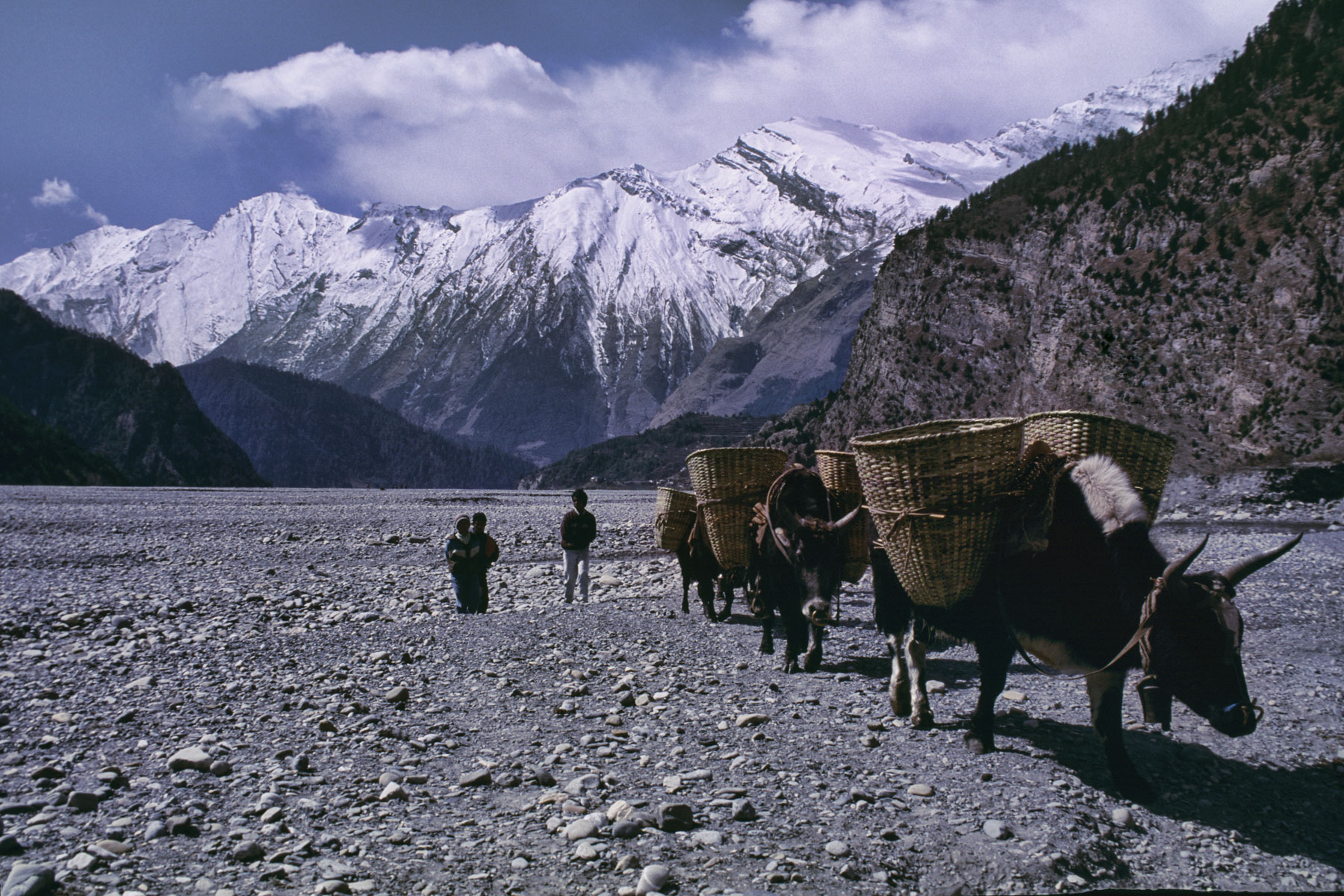 Himalaya